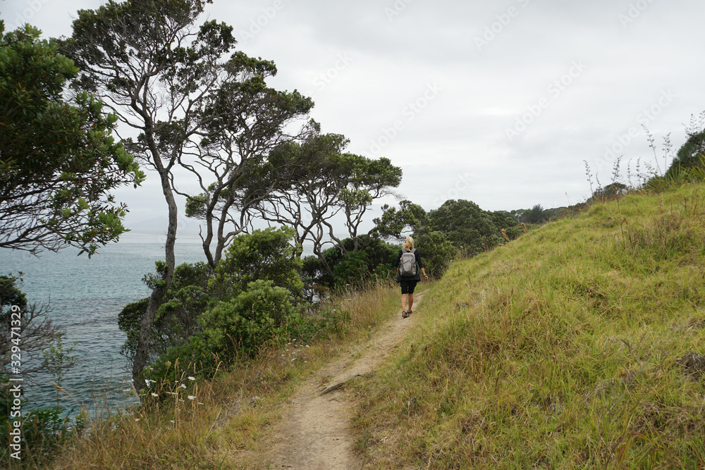 One day trekking to Pancake Rocks in Waipu New Zealand