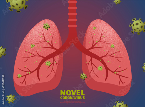 Novel coronavirus and lungs