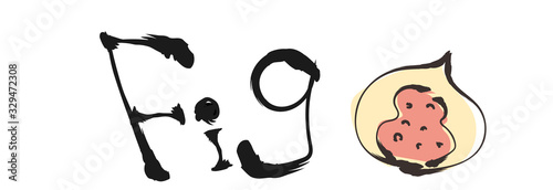 カリグラフィーと筆絵・いちじく（英語）