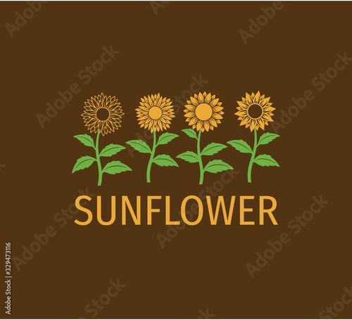 simple sunflower plant line up vector illustration design in brown background