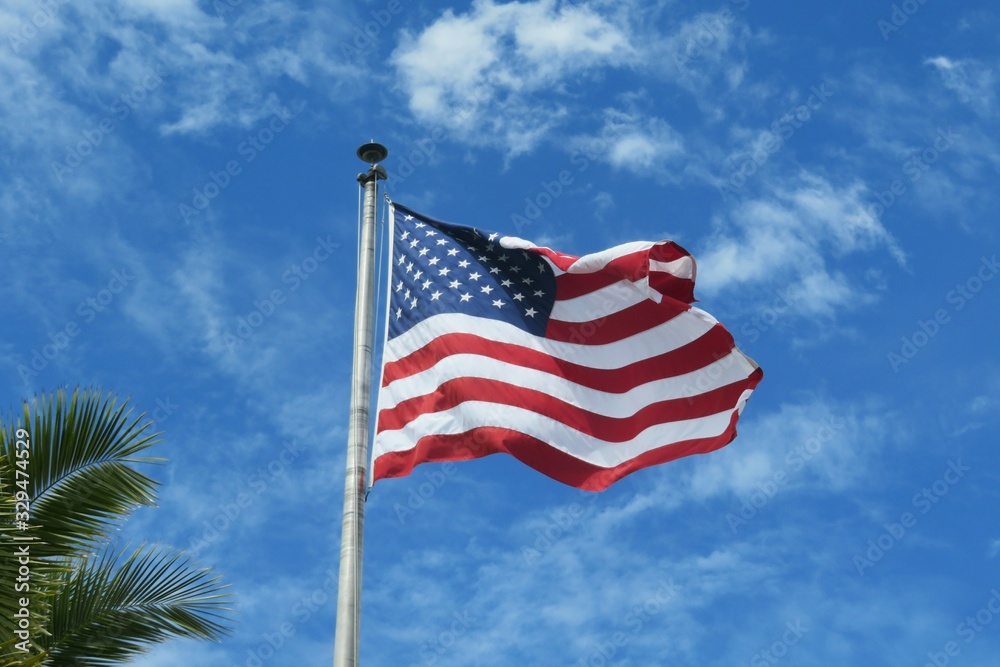 American flag on blue sky background in Florida nature