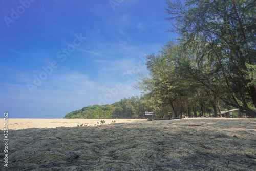 Sitting on the sand, looking at the sky, there are trees behind