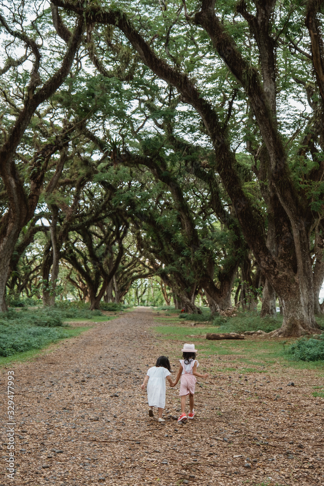 two children walk away between a shady tree full of mystery two children walk away between a shady tree full of mystery