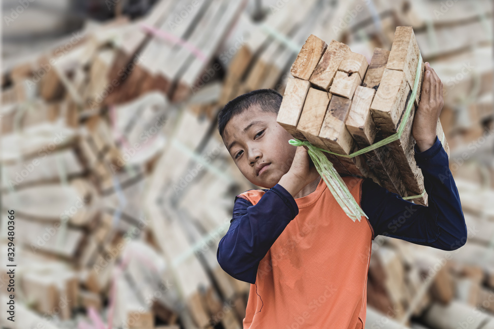 A poor boy working with firewood, World Day Against Child Labour
