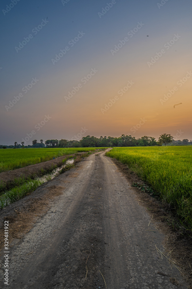 Atmosphere of rice fields and nature