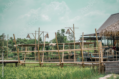 Atmosphere of rice fields and nature