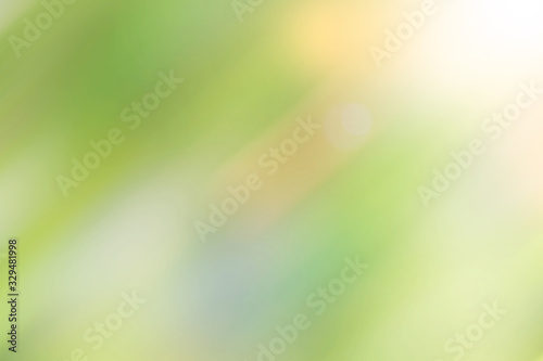 soft motion blur bokeh plant in a garden
