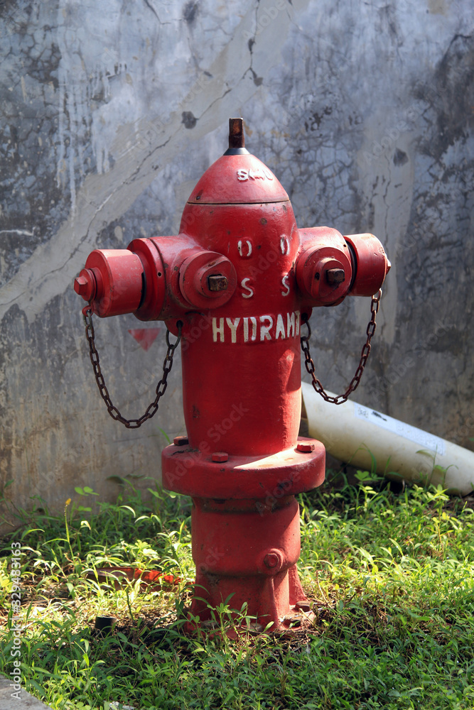 red fire hydrant in the park