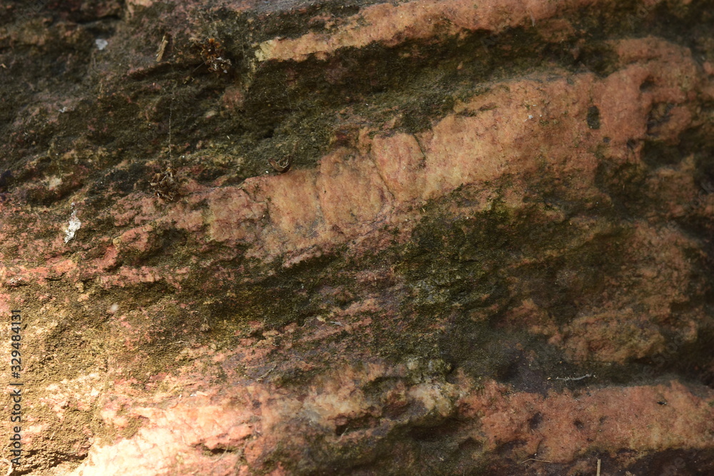 Natural stone background moss stains moss Natural stone background moss stains moss