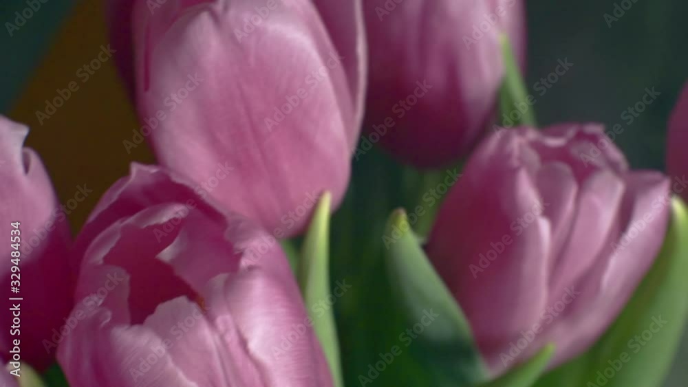 bouquet of flowers close-up.festive moving background bouquet of flowers close-up.festive moving background