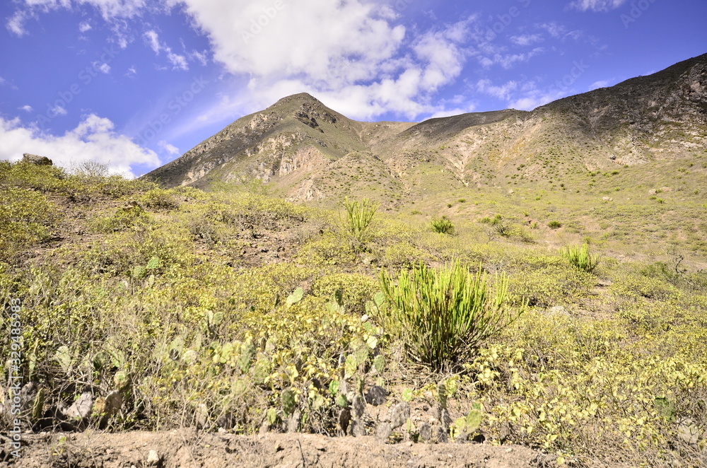 Jubones es un desierto hermoso entre Azuay y Loja, Ecuador Jubones es un desierto hermoso entre Azuay y Loja, Ecuador