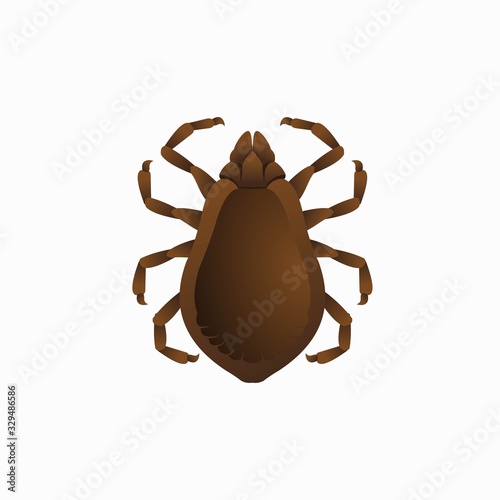 Vector Illustration Brown Dog Tick