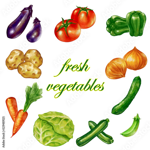 Wallpaper Mural 水彩風の複数の新鮮な野菜　盛り沢山　セット Torontodigital.ca