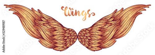 Angels wings. Ornamental baroque style element. Vector illustration. Tattoo template. Trendy hand drawn antique symbol collection. Vintage design elements.