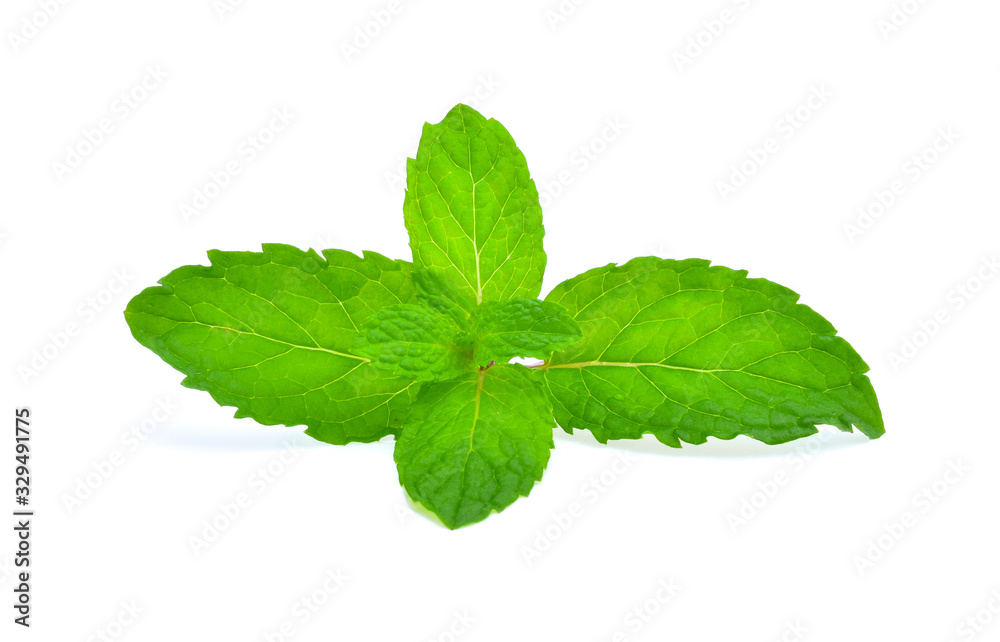 Mint leaves isolated on white background Mint leaves isolated on white background