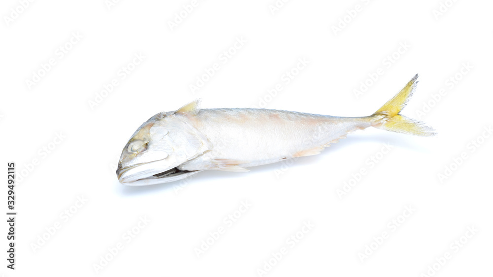 Mackerel fish isolated on white background steam Mackerel Mackerel fish isolated on white background steam Mackerel