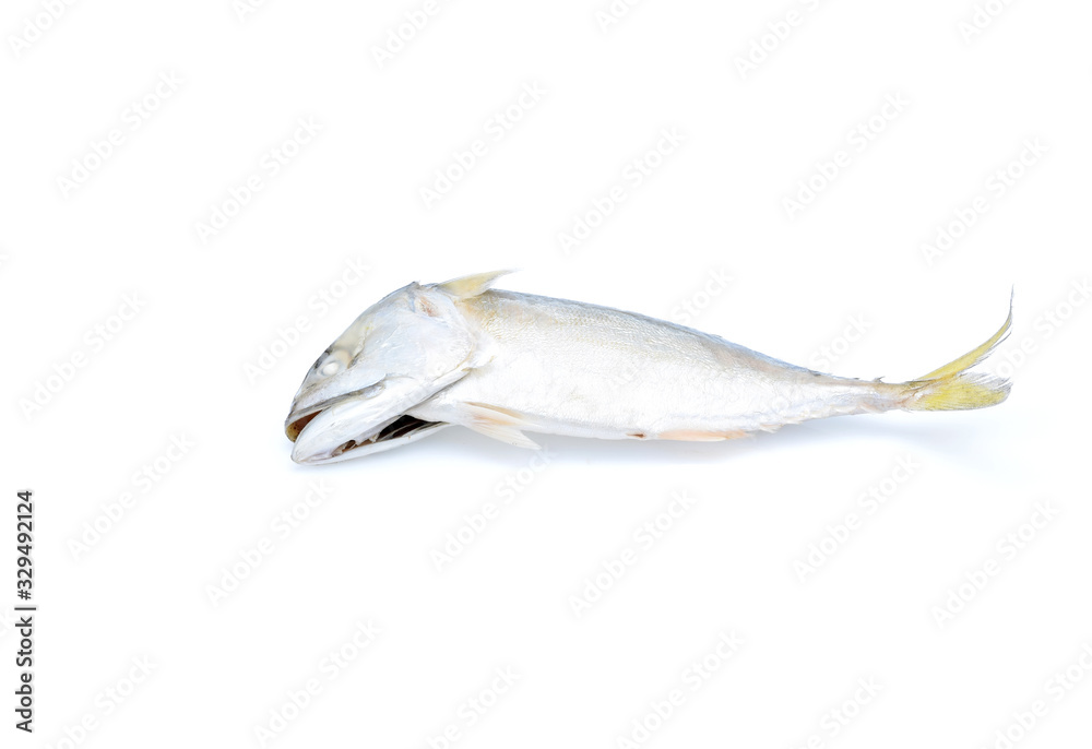 Mackerel fish isolated on white background steam Mackerel Mackerel fish isolated on white background steam Mackerel
