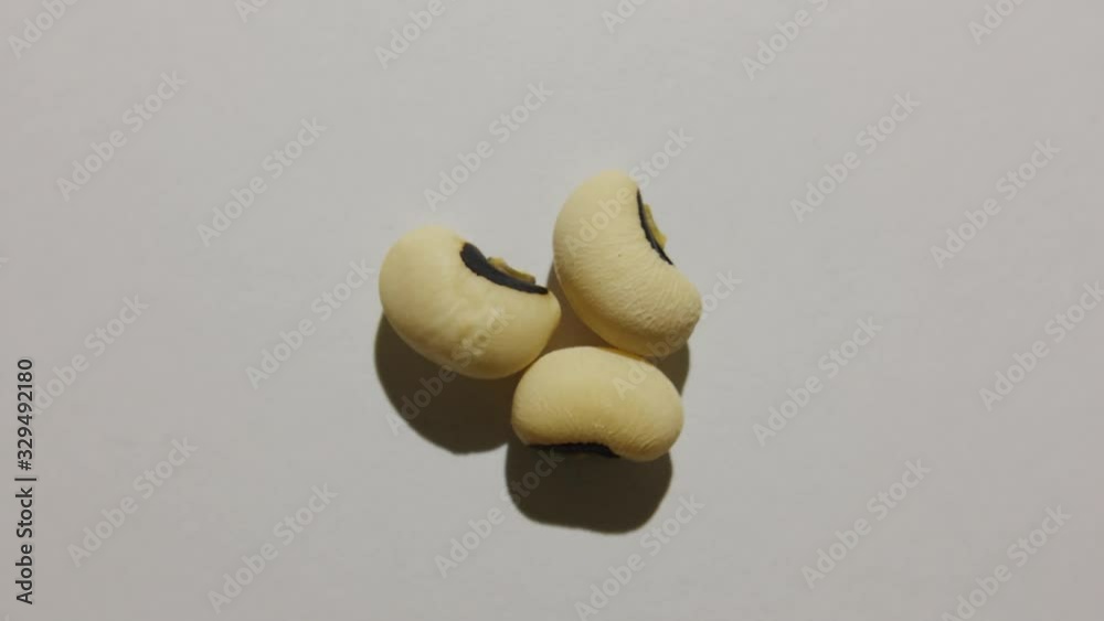 black-eyed pea or bean Vigna unguiculata or cowpea macro shot Rotating Turning black-eyed pea or bean Vigna unguiculata or cowpea macro shot Rotating Turning
