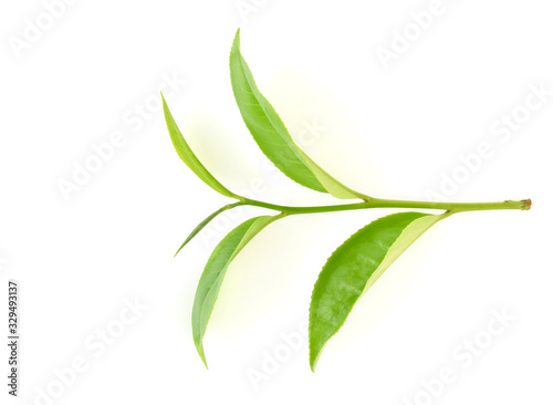 Top view of Green tea leaf isolated on white background