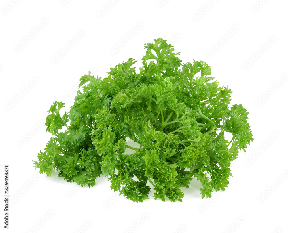 Obraz premium Parsley isolated on white background