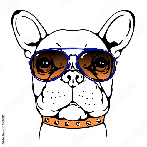 Cute french bulldog in sunglasses. Stylish image for printing on different surfaces
