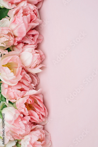 Fototapeta Naklejka Na Ścianę i Meble -  Spring greeting card template of fresh flowers of pink tulips for Mother's Day, Birthday, Easter, Women's Day. Frame of flowers. Copy space. Soft selective focus.
