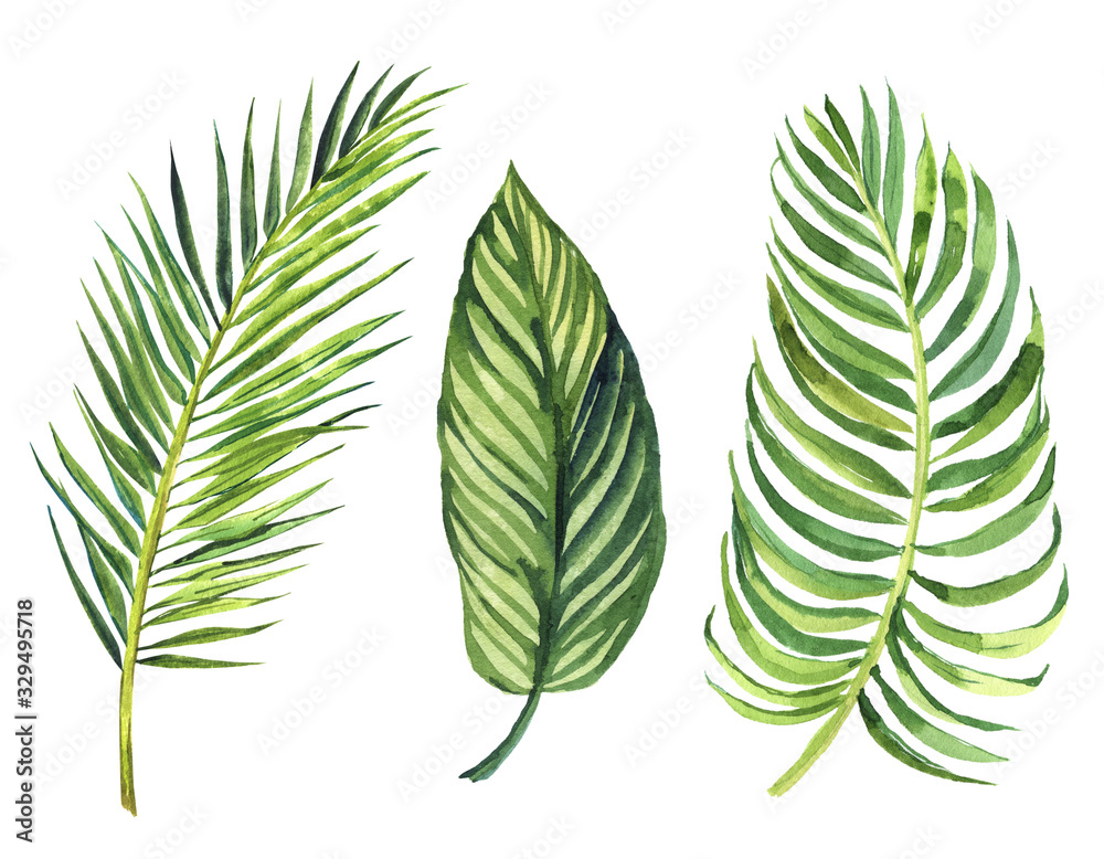finished image of a postcard with three green leaves of palm trees on a white background, watercolor finished image of a postcard with three green leaves of palm trees on a white background, watercolor