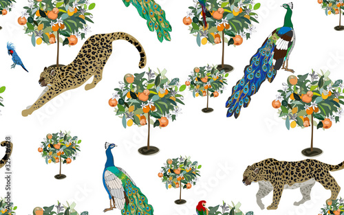 A garden with orange trees in bloom in which tame leopards, peacocks and cockatoo parrots walk on a white background. Seamless pattern with tropical animals and plants.