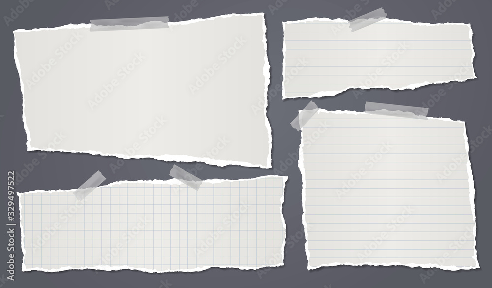 Ripped Piece Of Lined Paper