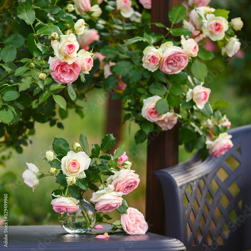 A bouquet of roses in a glass vase stands on a table under a rose bush. Square cropping