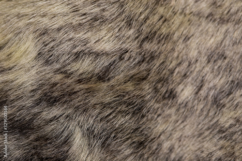 Fur texture close up. Fur on winter women's clothing.