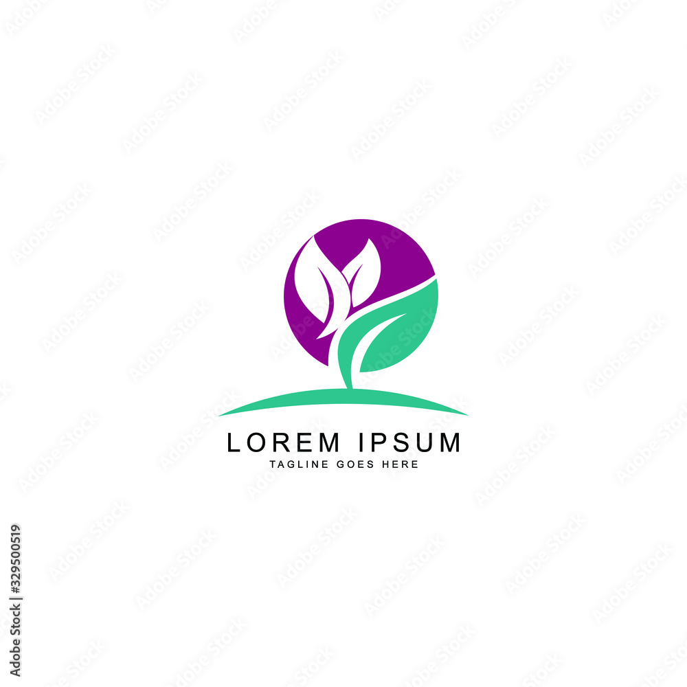 Fototapeta premium leaf logo template