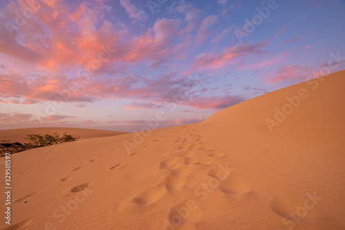 wonderful, dramatic sky over the sandy desert after sunset