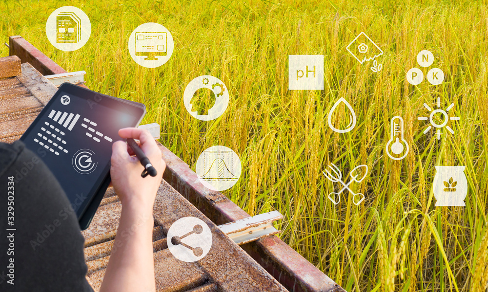 Foto de Smart farming using modern technologies in agriculture. Hand ...