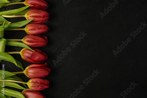 Fototapeta Naklejka Na Ścianę i Meble -  Flowers tulips red and yellow