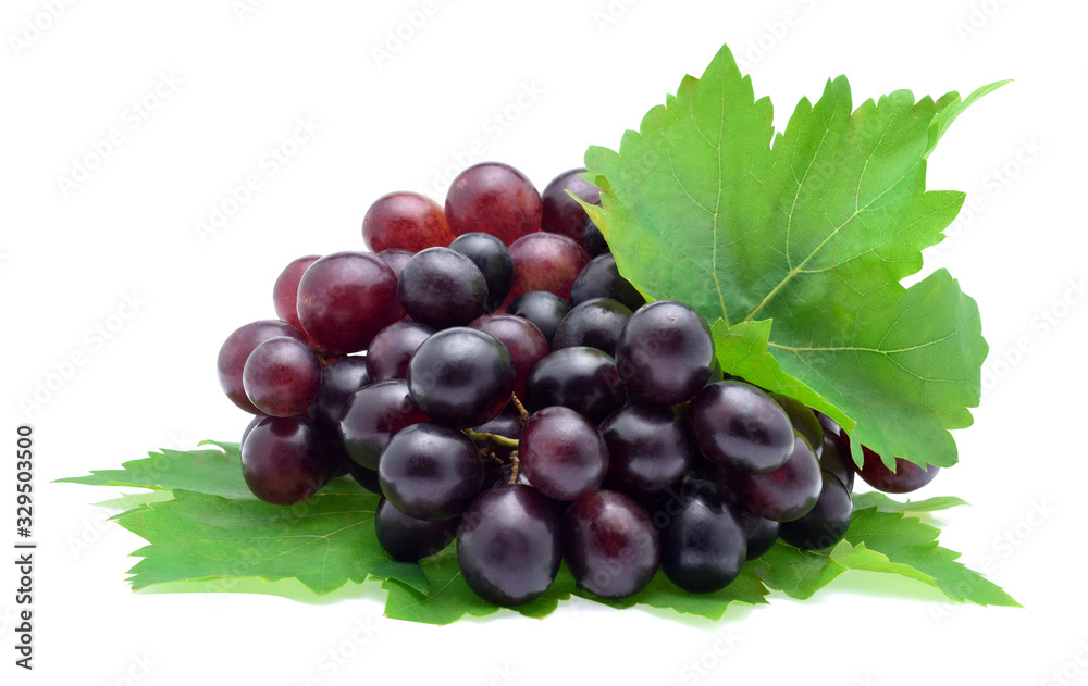 Fototapeta premium Blue grape with leaves isolated on white background.