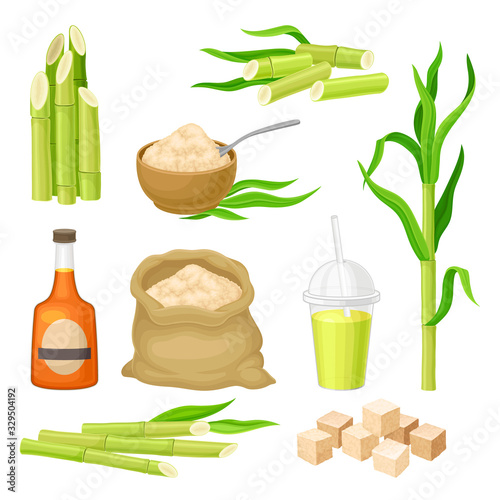 Sugarcane Plant and Manufactured from it Products Vector Set