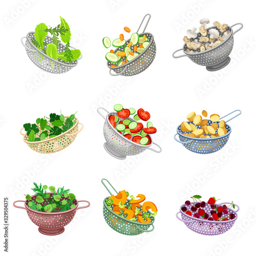 Metal and Plastic Kitchen Colanders or Strainers with Vegetables and Greenery Vector Set