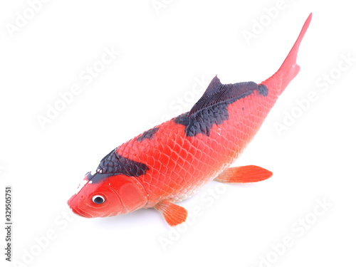red rubber fish on a white background