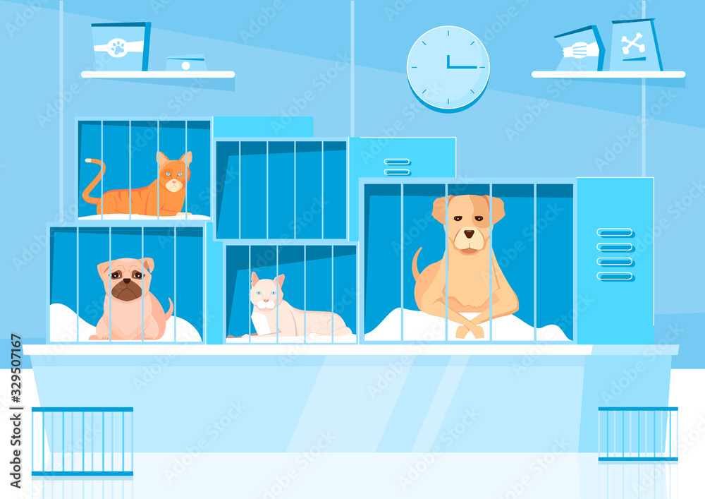 Obraz premium Animal Shelter Cages Composition