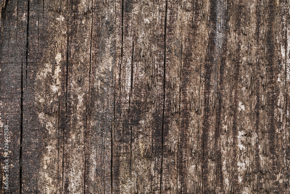 Texture of dirty old wood. Abstract background Texture of dirty old wood. Abstract background