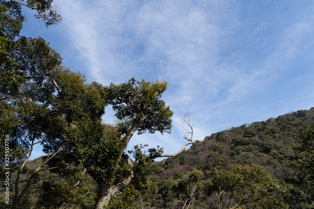 ABUNDANT NATURE ABUNDANT NATURE