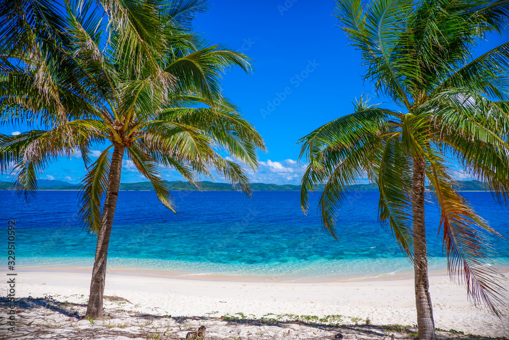 Palms trees on the beach of Black (Malajon) island, Coron, Philippines. White sand and blue sky.