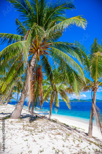 Palms trees on the beach of Black (Malajon) island, Coron, Philippines. White sand and blue sky.