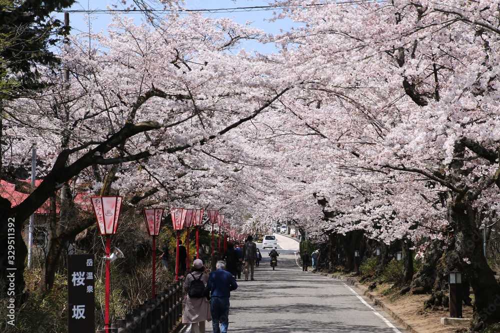 桜坂・岳温泉(福島県・二本松市) 桜坂・岳温泉(福島県・二本松市)