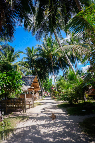 Bamboo hut and palm trees on the beach. Coron island, Philippines