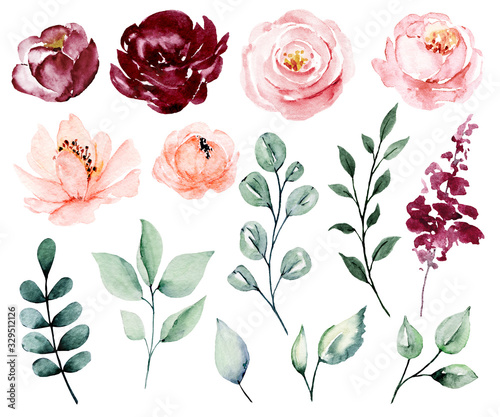 Set watercolor flowers blossom, hand drawing, floral vintage illustrations with pink and burgundy roses and leaves. For poster, greeting card, birthday, wedding design. Isolated on white. 