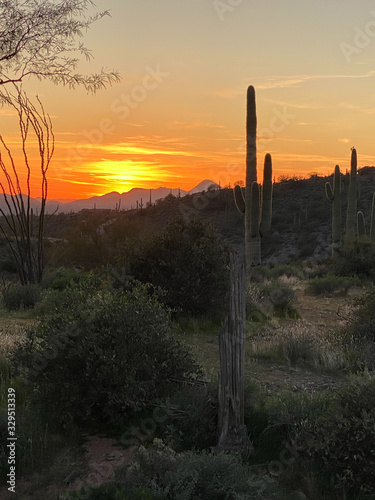 desert sunset arizona mountains cacti © Kurt