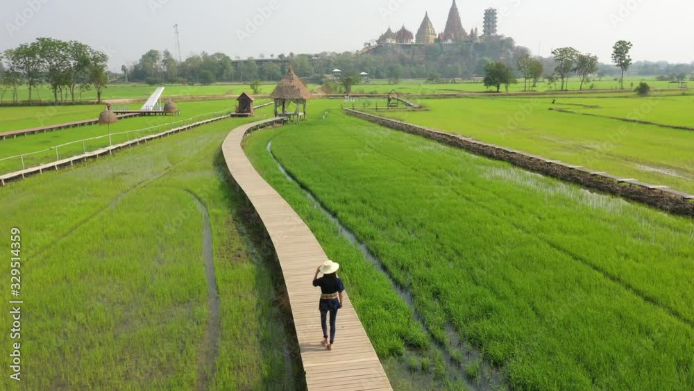 Farmers walking on a wooden bridge See the beauty of rice plants at Tham Suea Temple, Kanchanaburi Province. Is an important tourist destination of Thailand