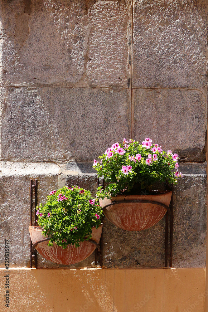 Exterior home decoration with flower pots of pink pelargonium
